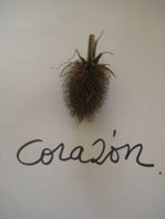 poema corazon cortesia nel amaro courtesy from the artist to klauss van damme all rights reserved vegap